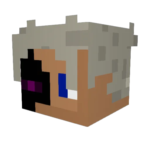 Faxanidu Minecraft avatar head, 3D render