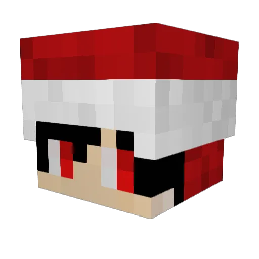 Faxasleep1978 Minecraft avatar head, 3D render