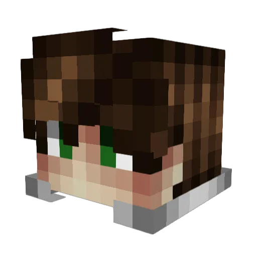Faxilone Minecraft avatar head, 3D render