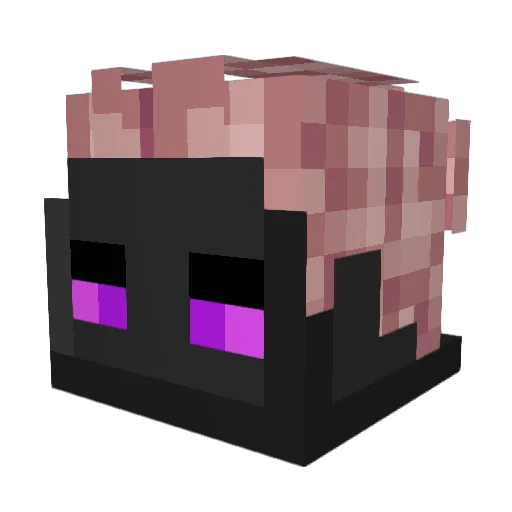 Faxslp_TMG Minecraft avatar head, 3D render