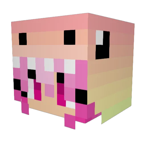 Faxsz Minecraft avatar head, 3D render