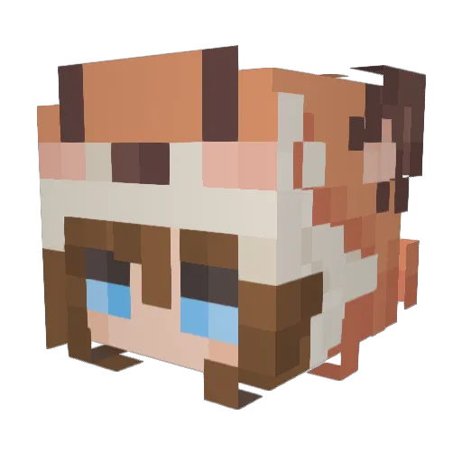 Faxuan Minecraft avatar head, 3D render