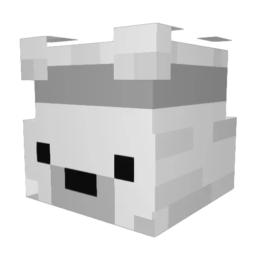 Fay8e Minecraft avatar head, 3D render