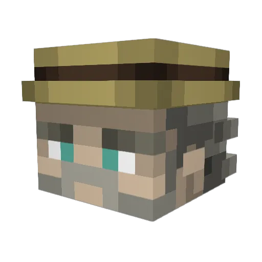 Fay_ Minecraft avatar head, 3D render