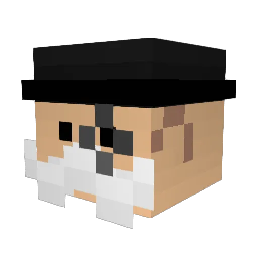 Fayaar Minecraft avatar head, 3D render