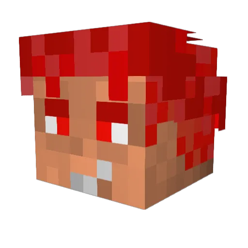 Faycrax Minecraft avatar head, 3D render