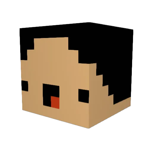 Faydalol Minecraft avatar head, 3D render
