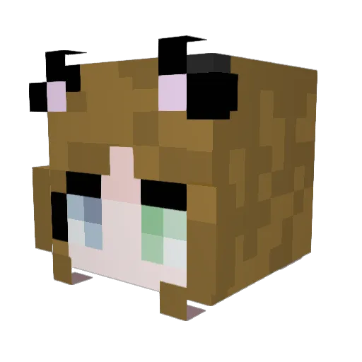 FayeBurger Minecraft avatar head, 3D render