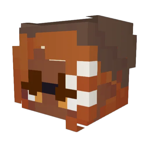 FayeFob Minecraft avatar head, 3D render