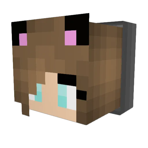 Faye_ Minecraft avatar head, 3D render