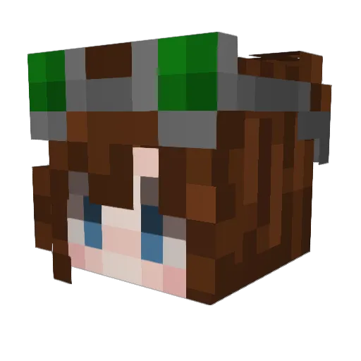 Faye_The_faye Minecraft avatar head, 3D render