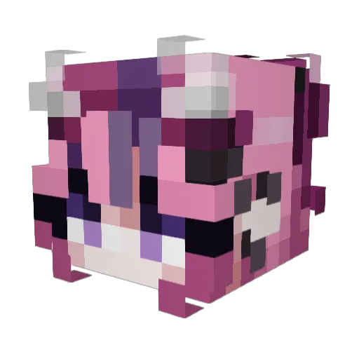FayelinyaLuna Minecraft avatar head, 3D render