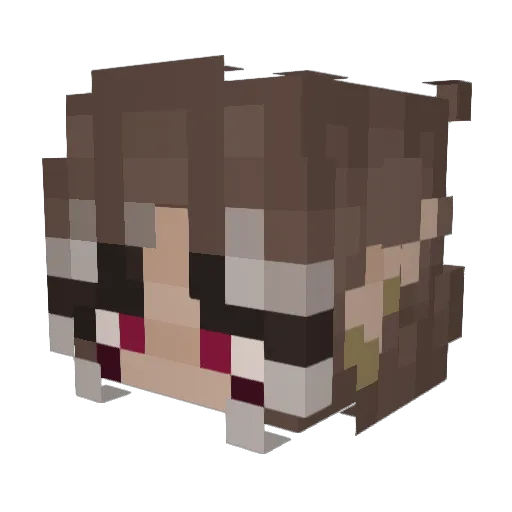 Fayelly_ Minecraft avatar head, 3D render