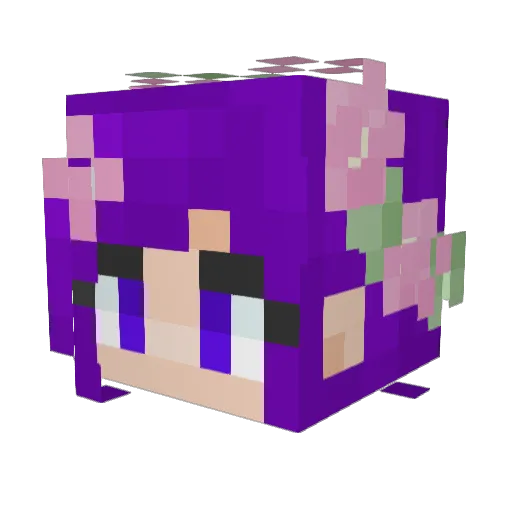 Fayfayfay Minecraft avatar head, 3D render