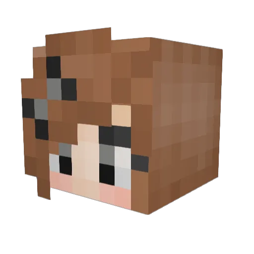 Faygo13 Minecraft avatar head, 3D render