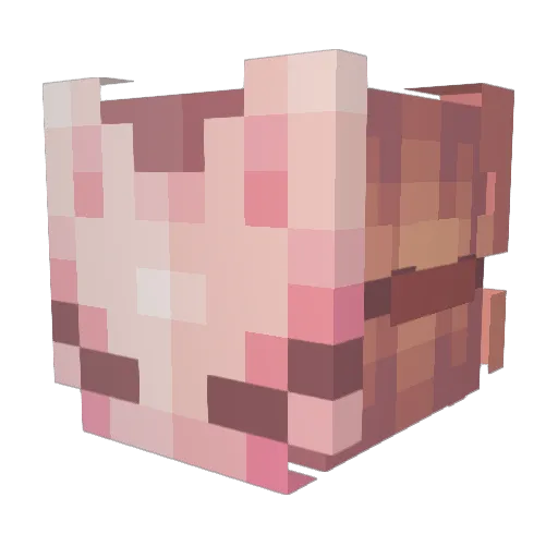 Faylett Minecraft avatar head, 3D render