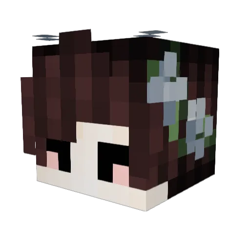 Fayni_ Minecraft avatar head, 3D render