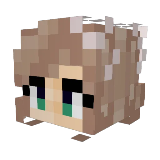 Fayoe Minecraft avatar head, 3D render