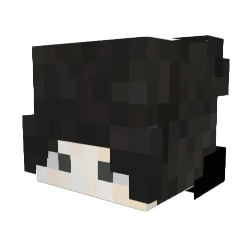 Fayrism_ Minecraft avatar head, 3D render