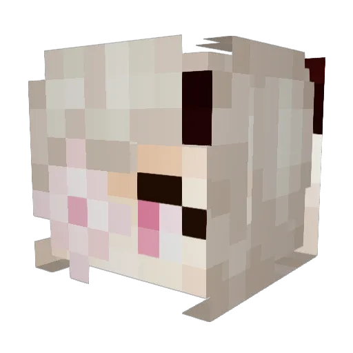 Faytallia Minecraft avatar head, 3D render