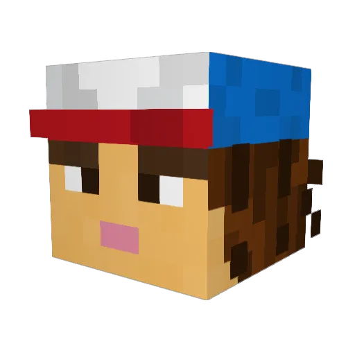 Fayte123 Minecraft avatar head, 3D render