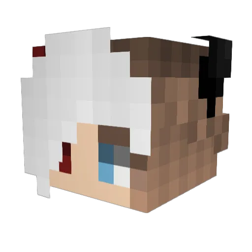 FaytieSatsuko Minecraft avatar head, 3D render