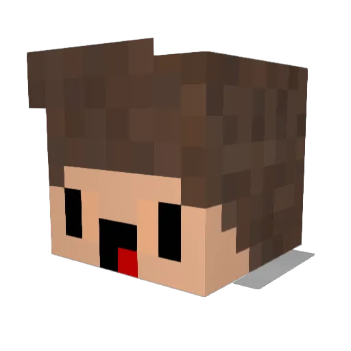 FayzonYT Minecraft avatar head, 3D render