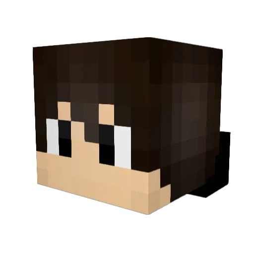 Fazanor Minecraft avatar head, 3D render