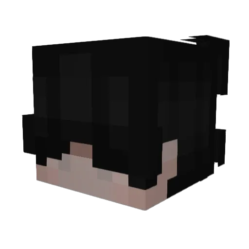 FazeTechSupport Minecraft avatar head, 3D render