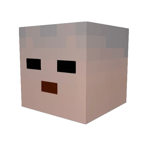 FazeTurtleFish Minecraft avatar head, 3D render