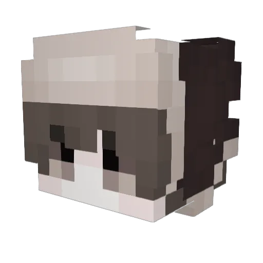 FazeZetsu Minecraft avatar head, 3D render