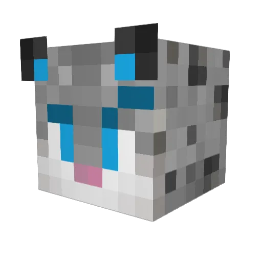 Faze_Furry Minecraft avatar head, 3D render