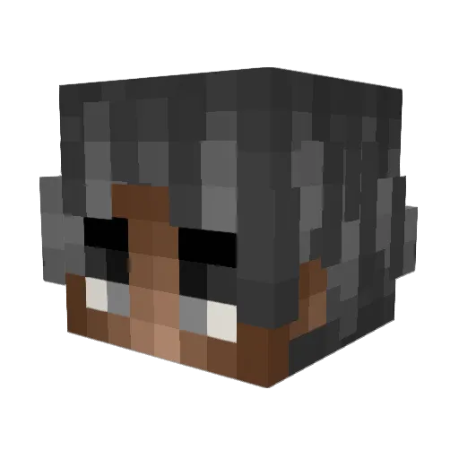 Fazen667 Minecraft avatar head, 3D render