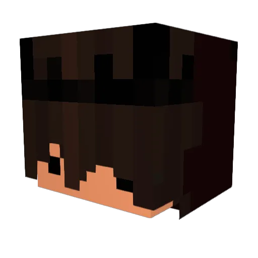 Fazenox Minecraft avatar head, 3D render