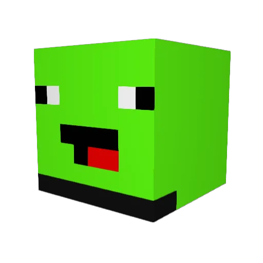 Fazerayyan1211 Minecraft avatar head, 3D render