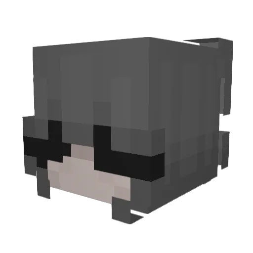 Faznoblade Minecraft avatar head, 3D render