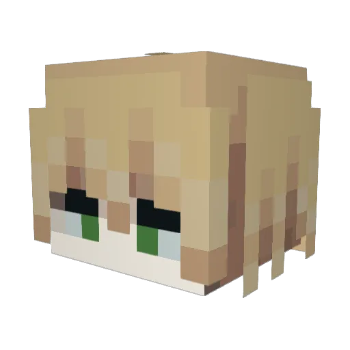 Fazwhale Minecraft avatar head, 3D render