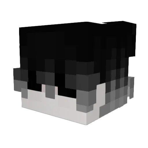 Fazzy172 Minecraft avatar head, 3D render