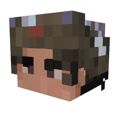 Fbit17 Minecraft avatar head, 3D render