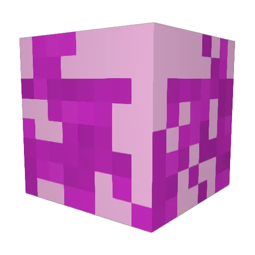 FcK_Boy Minecraft avatar head, 3D render