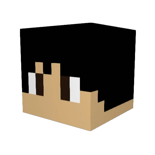 FckinNinja Minecraft avatar head, 3D render