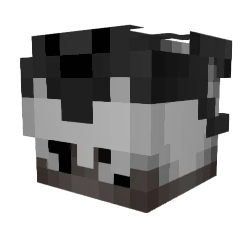 Fcstlife Minecraft avatar head, 3D render