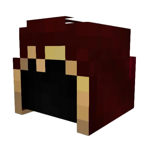 Fd_rv Minecraft avatar head, 3D render