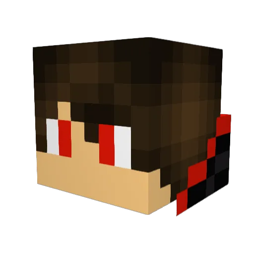 Fe909 Minecraft avatar head, 3D render