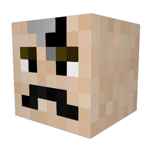 FeAbi6 Minecraft avatar head, 3D render