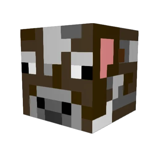 FeBra2008 Minecraft avatar head, 3D render