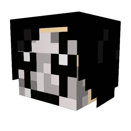 FeCrow Minecraft avatar head, 3D render