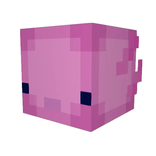 FeF00 Minecraft avatar head, 3D render