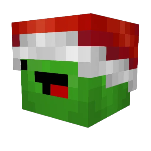 FeIeti Minecraft avatar head, 3D render