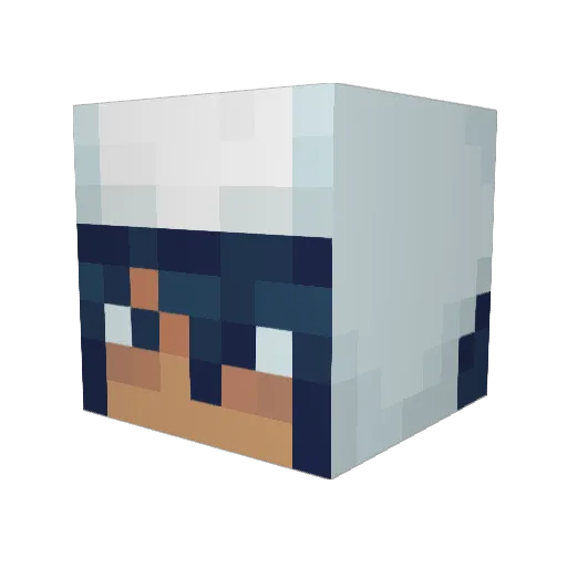 FeIicity Minecraft avatar head, 3D render